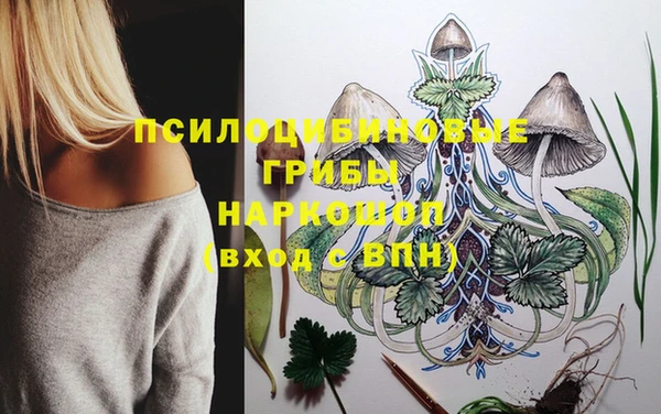 ГАЛЛЮЦИНОГЕННЫЕ ГРИБЫ Нефтекумск