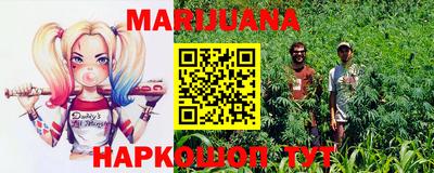 индика Заволжье