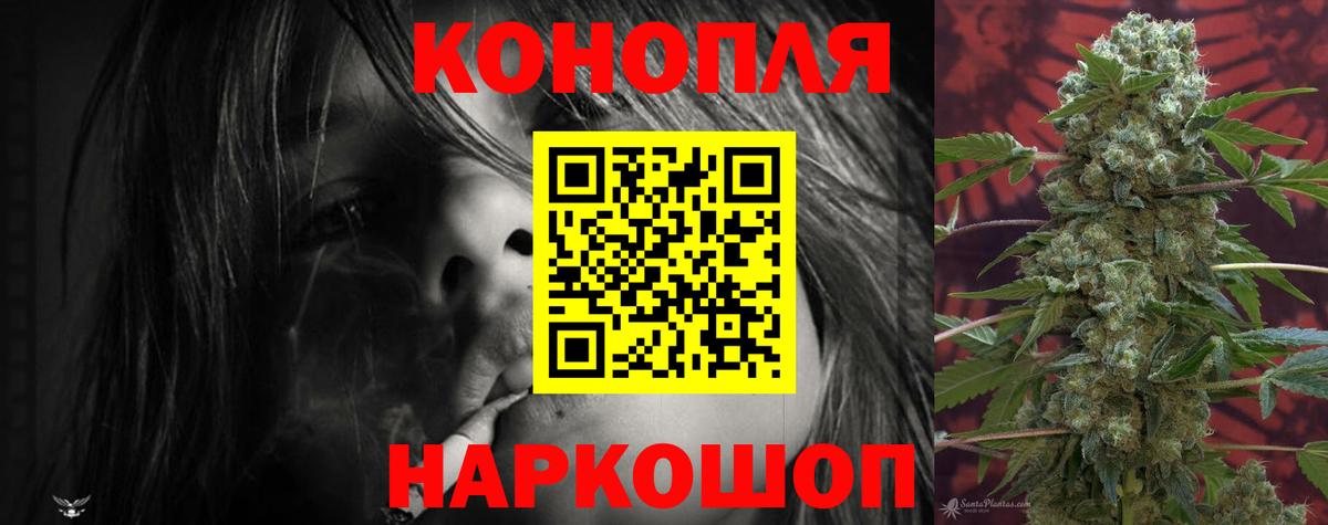 Бошки Шишки OG Kush  Бошки Шишки гибрид  Павлово 